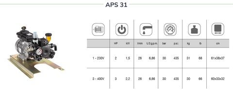 E APS 31